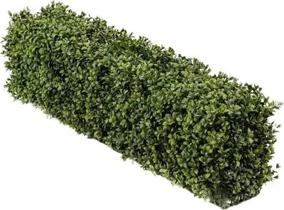 Produktbild von Emerald Künstliche Buchsbaumhecke - Jannis | 100x25cm, UV-beständig, für draußen, Kunstbaum, wie echt, Allergiker geeignet, pflanzliche Dekoration Praxis, Office & Wohnzimmer
