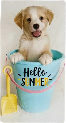 Produktbild von CarbotexJavoli Hundebadetuch Sommer - 70 x 140 cm