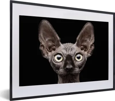 Produktbild von MuchoWow® Gerahmtes Poster Katze - Haustiere - Porträt - Schwarz 60x40 cm - Poster mit Schwarzem Bilderrahmen Wandposter Rahmen Foto Bilder - Schlafzimmer - Plakat in Rahmen - Drucken