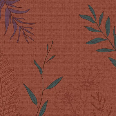 Image de Serviettes Dunisoft Soft Nature 40 x 40cm 60 pièces