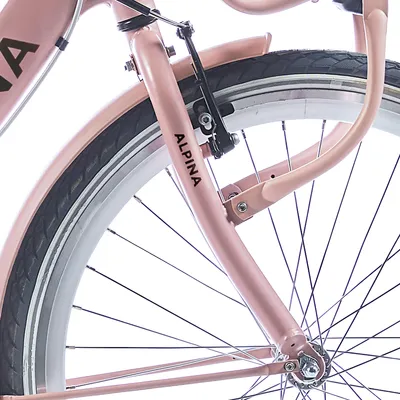 Zdjęcie produktu dla Alpina Fork 26 Clubb Desert Pink Matt