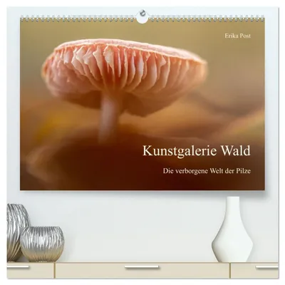 Produktbild von Kunstgalerie Wald - die verborgene Welt der Pilze (hochwertiger Premium Wandkalender 2027 DIN A2 quer), Kunstdruck in Hochglanz