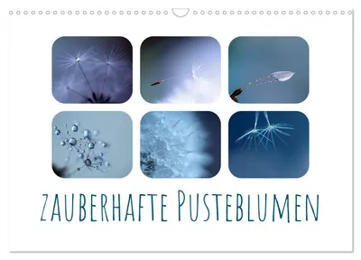 Produktbild von Zauberhafte Pusteblumen (Wandkalender 2027 DIN A3 quer), CALVENDO Monatskalender