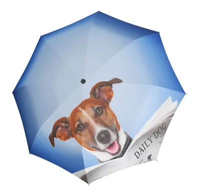 Immagine prodotto di doppler ombrello a bastone ombrello Modern.Art Long Automatic Daily Dog blu multicolore