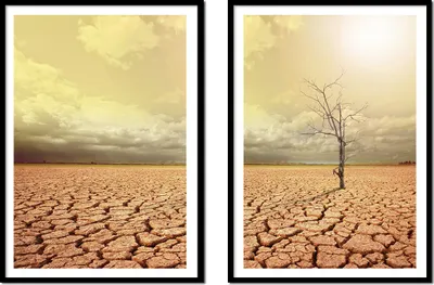 Obrázek produktu pro RÁMOVANÝ OBRAZ 53x73cm Diptych Sada 2 obrazů Osamělý strom Boho P2149