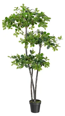Produktbild von Künstlicher Olivenbaum - Kunstpflanze 183 cm - UV-beständig - Für den Außenbereich - Polyester - Tiefrosa