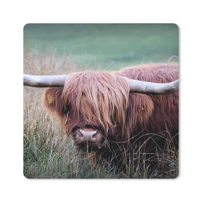 Produktbild von MuchoWow® Mauspad Mousepad Schottischer Highlander - Hörner - Gras 30x30 cm - Mousepads - Maus Mat - Pad - Mausunterlage - Gaming