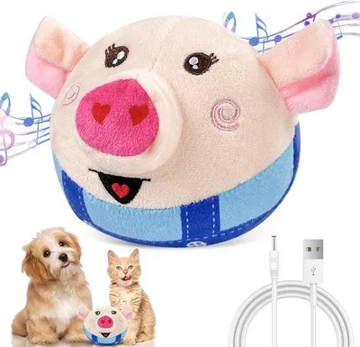 Image de Balles en peluche mobiles pour chiens avec musique