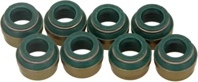 Obrázok produktu pre Dichtungssatz, Ventilschaft REINZ 12-25837-01