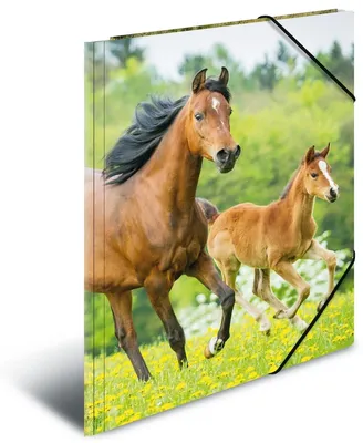 Produktbild von HERMA Sammelmappen DIN A4 Pferde, 3 St.