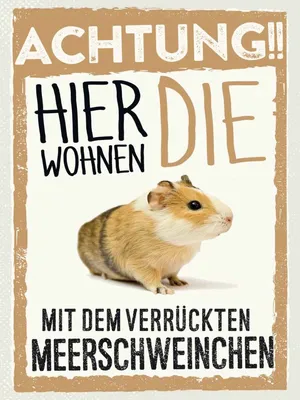 Produktbild von vianmo Holzschild 40x30 cm Tiere Achtung hier Meerschweinchen Tier Haustier