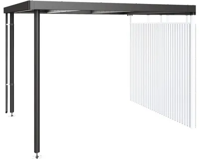 Obrázek produktu pro Přístřešek pro zahradní domek Biohort HighLine H4 282 x 275 cm tmavě šedý metalický, střecha šedý křemen metalický