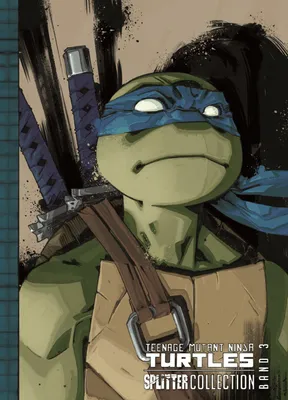 Image de Teenage Mutant Ninja Turtles Splitter Collection 03