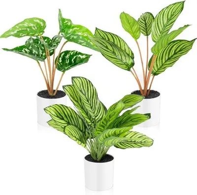 Immagine prodotto di Pianta artificiale Calathea Makoyana in un vaso da fiori bianco per la decorazione d'interni (30 cm)