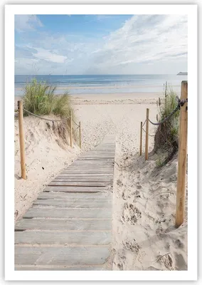 Produktbild von Poster - Poster ohne Rahmen - Strand Düne Eintritt - 70x100 cm - Wand Bild - Wanddeko - Wandbilder - Kunstposter - Wandposter - Bilder - Kunstdruck - Wanddekoration - Wandbild - P2XPA70x100-4188
