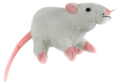 Produktbild von Kuscheltier Ratte 19cm weiß als süße Geschenkidee, Kostümzubehör oder Halloween-Deko
