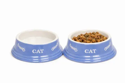 Produktbild von Nobby Katzen Keramiknapf "CAT "hellblau / beige Napf Standardnapf Wasser Futter