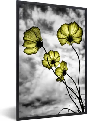 Produktbild von MuchoWow® MuchoWow® Gerahmtes Poster Blumen - Schwarz - Weiß - Gelb 40x60 cm - Poster mit zchwarzem Bilderrahmen - Papierdruck - Wandbilder