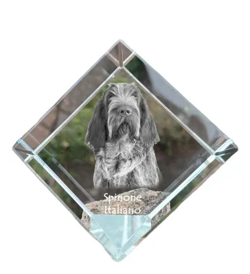 Imagen del producto de Art-Dog Pisapapeles – Spinone italiano