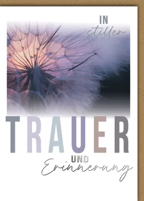 Produktbild von Trauer Kondolenz Beileidskarte mit Umschlag In stiller Trauer und Erinnerung Pusteblume