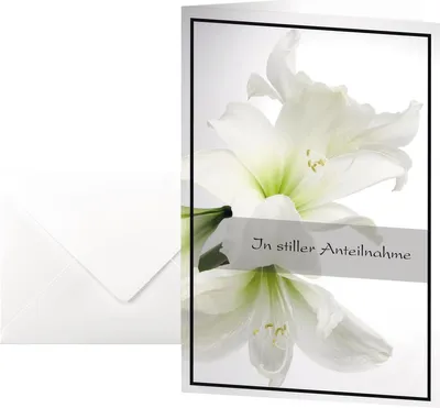 Produktbild von SIGEL DS006 Trauer-Karten (inkl. weiße Umschläge), Weiße Amaryllis, 115x170mm (230x170mm), 10 Karten