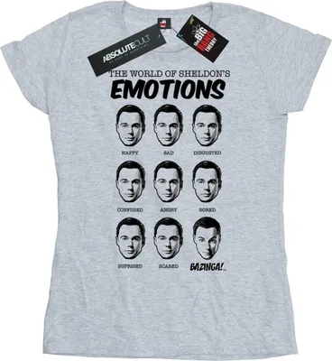 Produktbild von The Big Bang Theory - T-Shirt für Damen BI9654 (S) (Grau)