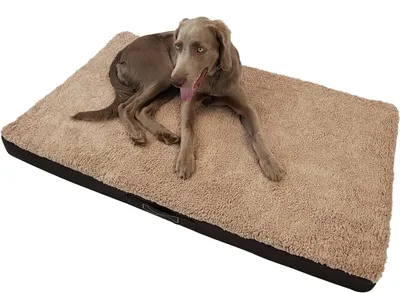 Produktbild von BENJI orthopädisch Hundebett, Größe:120cm