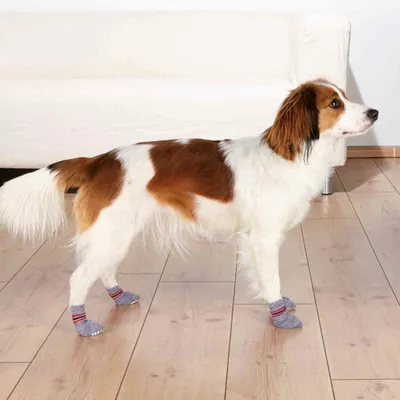 Produktbild von Trixie Hundesocken, Anti-Rutsch grau 2 St. L-XL