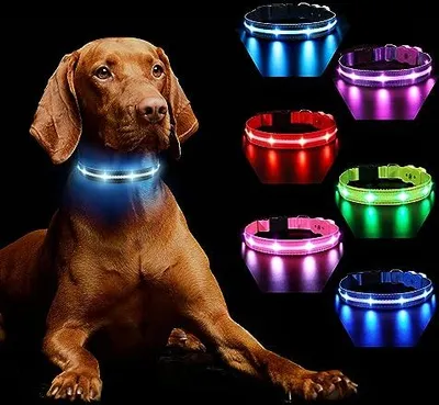 Produktbild von Hundehalsband Leuchtend Aufladbar, Leuchthalsband Hund 7 RGB Farbwechsel mit 8 Leuchtmodi, Verstellbare LED HundeHalsband Wasserdicht für Kleine