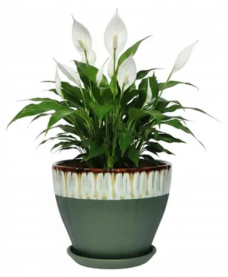 Zdjęcie produktu dla Doniczka Ceramiczna Biało Zielona Karbowana Połysk Średnica 25Cm Wys 20Cm