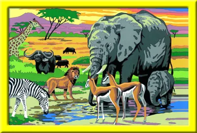 Produktbild von Tiere in Afrika Ravensburger 28766