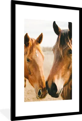 Produktbild von MuchoWow® Gerahmtes Poster Pferd - Strand - Tiere 60x90 cm - Poster mit Schwarzem Bilderrahmen Wandposter Rahmen Foto Bilder - Dekoration - Wandposter Wohnzimmer - Hochwertig