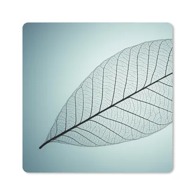 Produktbild von MuchoWow® Mauspad Mousepad Bild eines botanischen Blattskeletts im Hintergrund mit der Farbe Cyan 20x20 cm - Mousepads - Maus Mat - Pad - Mausunterlage - Desk Mat - Bureauartikeln