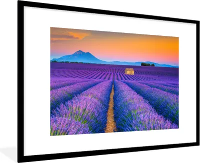 Produktbild von MuchoWow® Gerahmtes Poster Lavendel - Lila - Blumen 90x60 cm - Poster mit Schwarzem Bilderrahmen Wandposter Rahmen Foto Bilder - Wanddekoration - Fotos