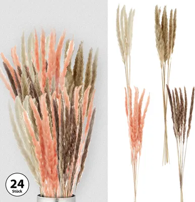 Produktbild von 24x Pampasgras 4 Farben Dekogras H65-75 cm Trockenblume Wedel Kunstgras