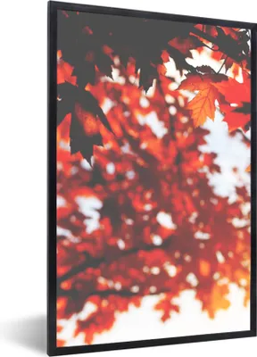 Produktbild von MuchoWow® Gerahmtes Poster Herbstliche Blätter - Rustikale Dekoration - Sonne 60x90 cm - Poster mit Schwarzem Bilderrahmen Wandposter Rahmen Foto Bilder - Kunst