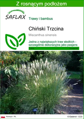 Zdjęcie produktu dla SAFLAX - Chiński Trzcina - 200 Nasiona - Z podłożem uprawowym wolnym od zarazków - Miscanthus sinensis