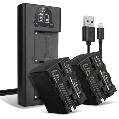 Image de CELLONIC 2x Batterie pour Appareil photo Compatible avec Z Cam E2, Compatible avec Sony HDR-FX1000E, HDR-FX7E, NP-F970 - (6600mAh, 7.4V) + Chargeur Double