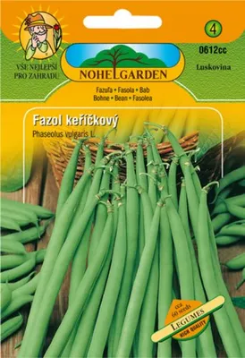 Image de NOVORES Haricots verts
