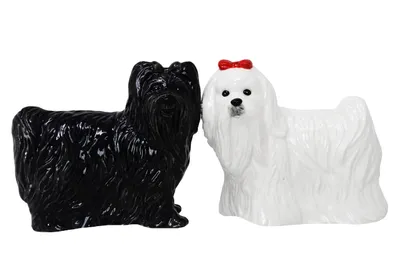 Image de Salière et poivrière Malteser - Chiens
