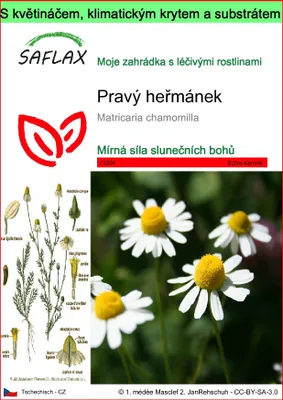 Obrázek produktu pro SAFLAX Garden to go - Pravý heřmánek - Matricaria chamomilla - 300 Semena - S květináčem, klimatickou poklicí a pěstebním substrátem