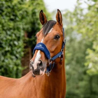 Produktbild von Horseware Signature Grooming Headcollar, Größe:Vollblut, Farbe:Navy