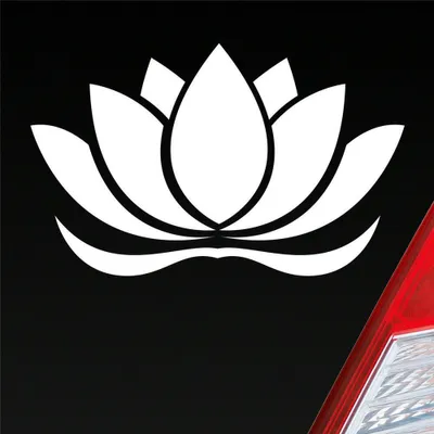 Produktbild von Auto Aufkleber Lotusblüte Lotus Blüte Blume Pflanze Seerose 16x10 cm Weiss Matt Sticker Heckscheibenaufkleber