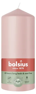 Immagine prodotto di Candela Stumpen Bolsius, 130/68, colore rosa tenue