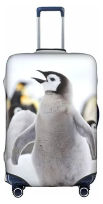 Produktbild von Kofferbezug mit Pinguin-Motiv