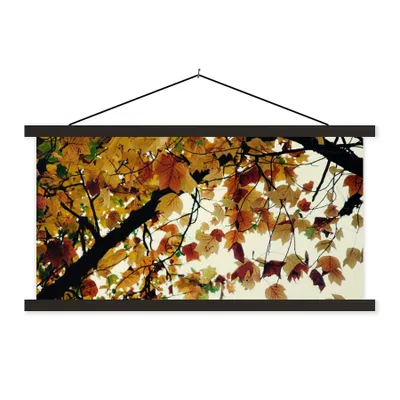 Produktbild von MuchoWow® Textilposter Bäume - Herbstblätter - Natur 90x45 cm mit schwarzem Rahmen - Klemmleisten