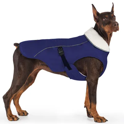 Image de Manteau d'hiver pour chien, épais, coupe-vent, chaud, imperméable, bleu, taille XXL