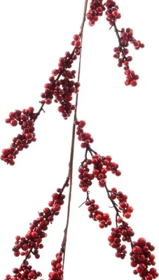 Produktbild von Girlande rot Beerengirlande lackiert Weihnachten Tischdeko L ca 130 cm