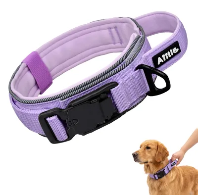 Produktbild von Hunde Halsband M, Magneetschließe, Lila, für den Alltag
