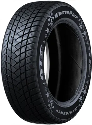 Image de Pneus GT RADIAL 205/55 R16 91H WINTER PRO 2 EVO